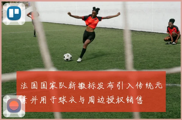 法国国家队新徽标发布引入传统元素并用于球衣与周边授权销售