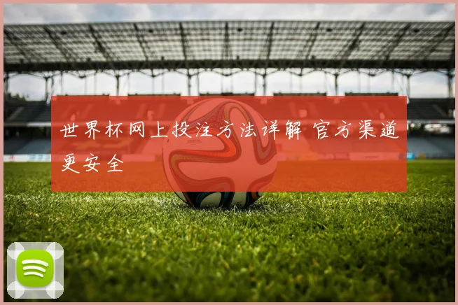 世界杯网上投注方法详解 官方渠道更安全
