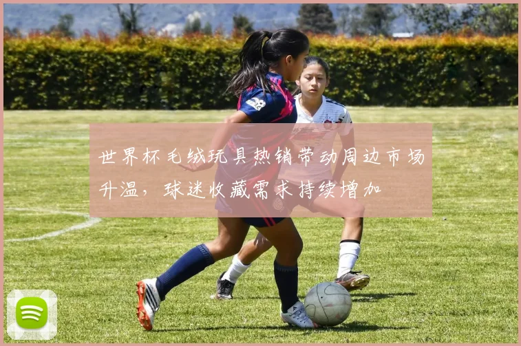 世界杯毛绒玩具热销带动周边市场升温，球迷收藏需求持续增加