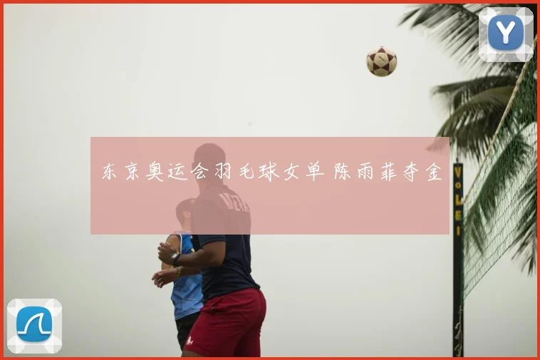 东京奥运会羽毛球女单 陈雨菲夺金