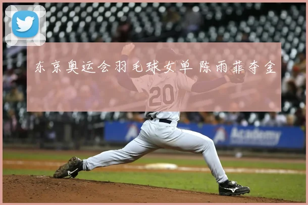东京奥运会羽毛球女单 陈雨菲夺金