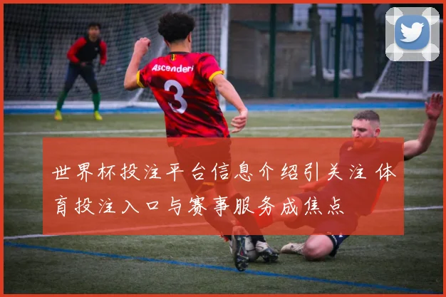 世界杯投注平台信息介绍引关注 体育投注入口与赛事服务成焦点