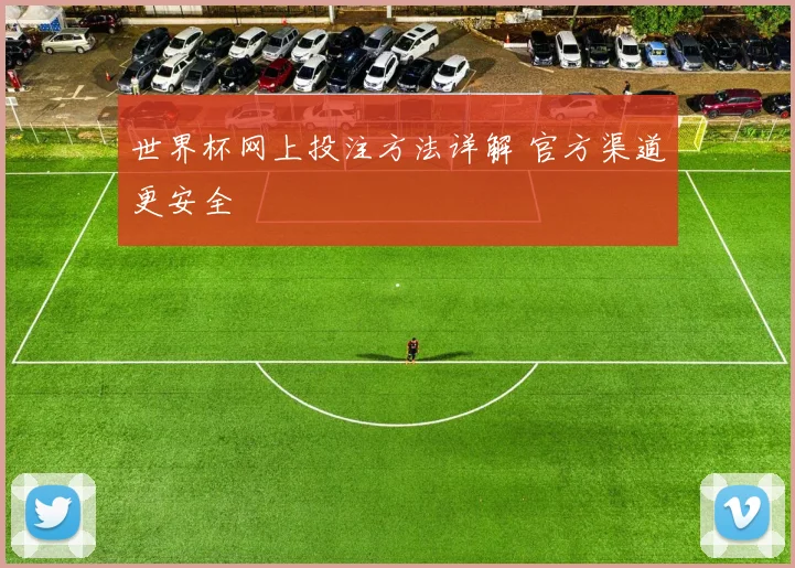 世界杯网上投注方法详解 官方渠道更安全