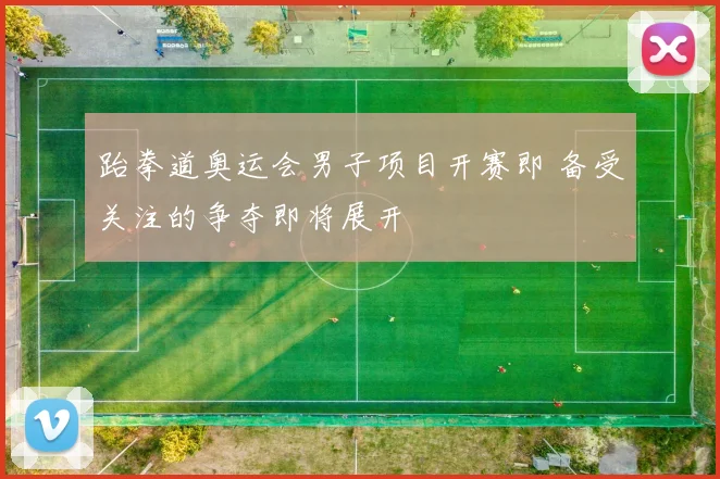 跆拳道奥运会男子项目开赛即 备受关注的争夺即将展开