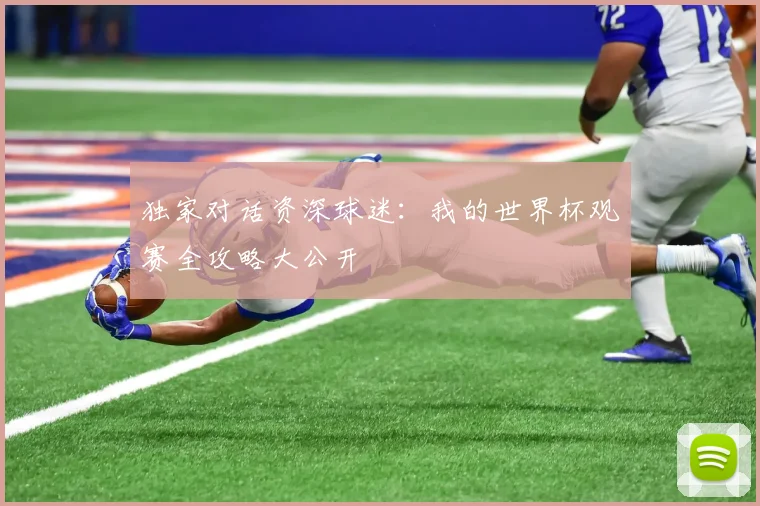 独家对话资深球迷：我的世界杯观赛全攻略大公开