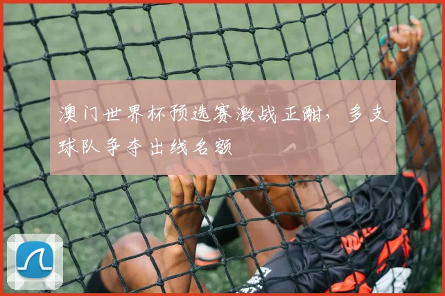 澳门世界杯预选赛激战正酣，多支球队争夺出线名额