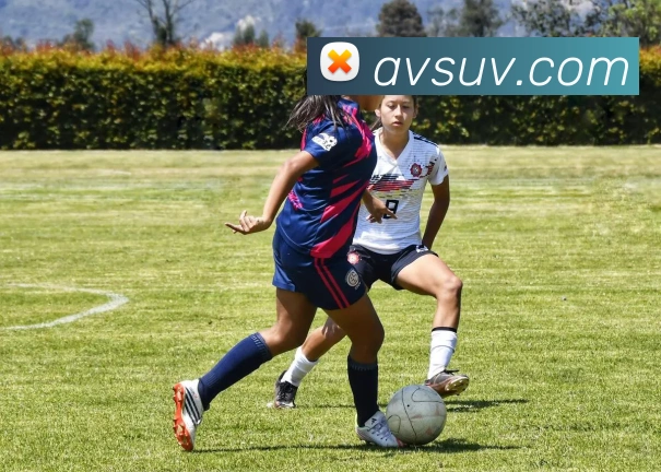 易倍emc官方品牌故事