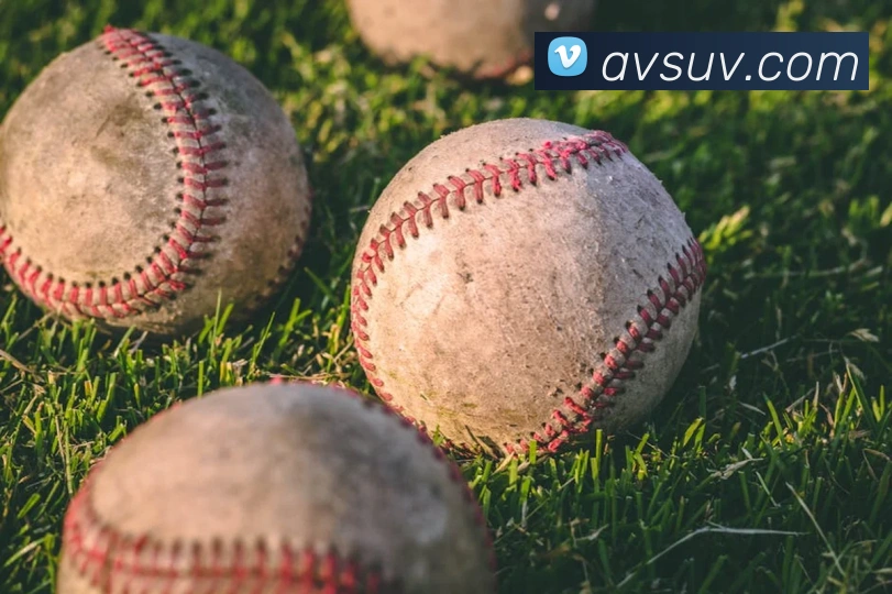 易倍emc官方APP 体育赛事宣传图